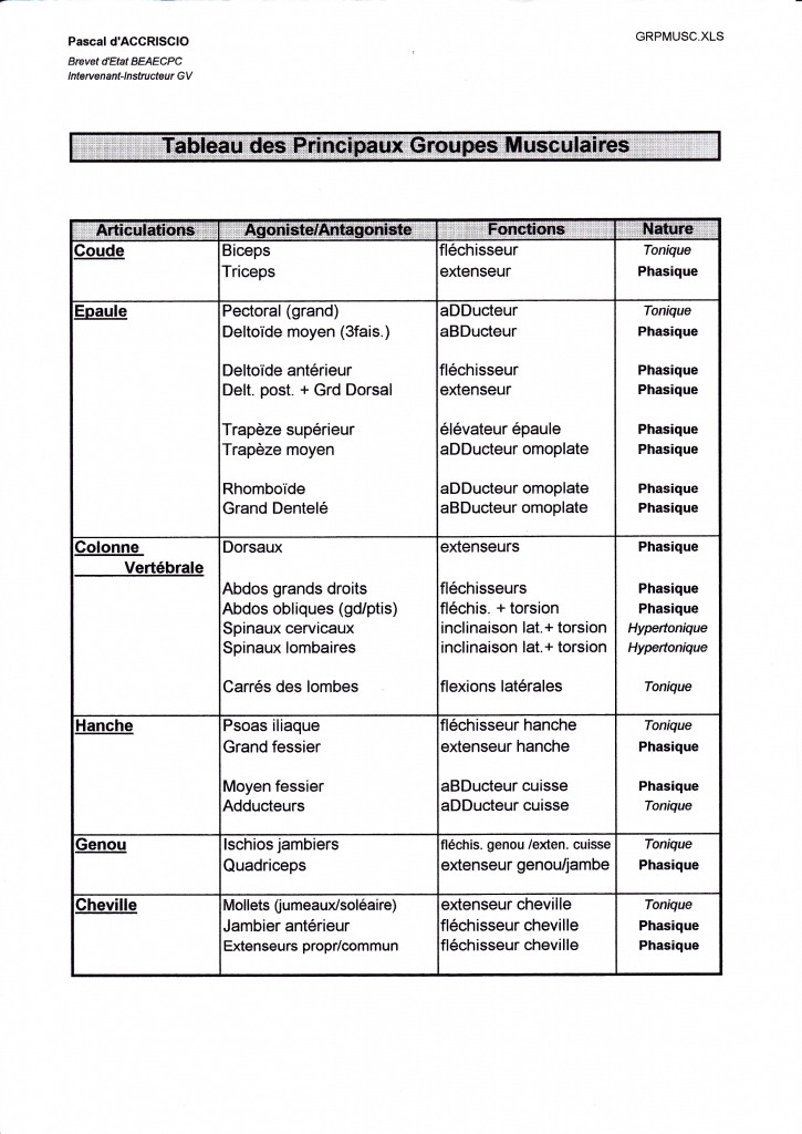 Anatomie Cesabpmetz2017